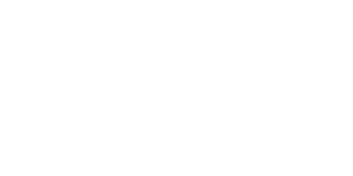 Bullnet Capital